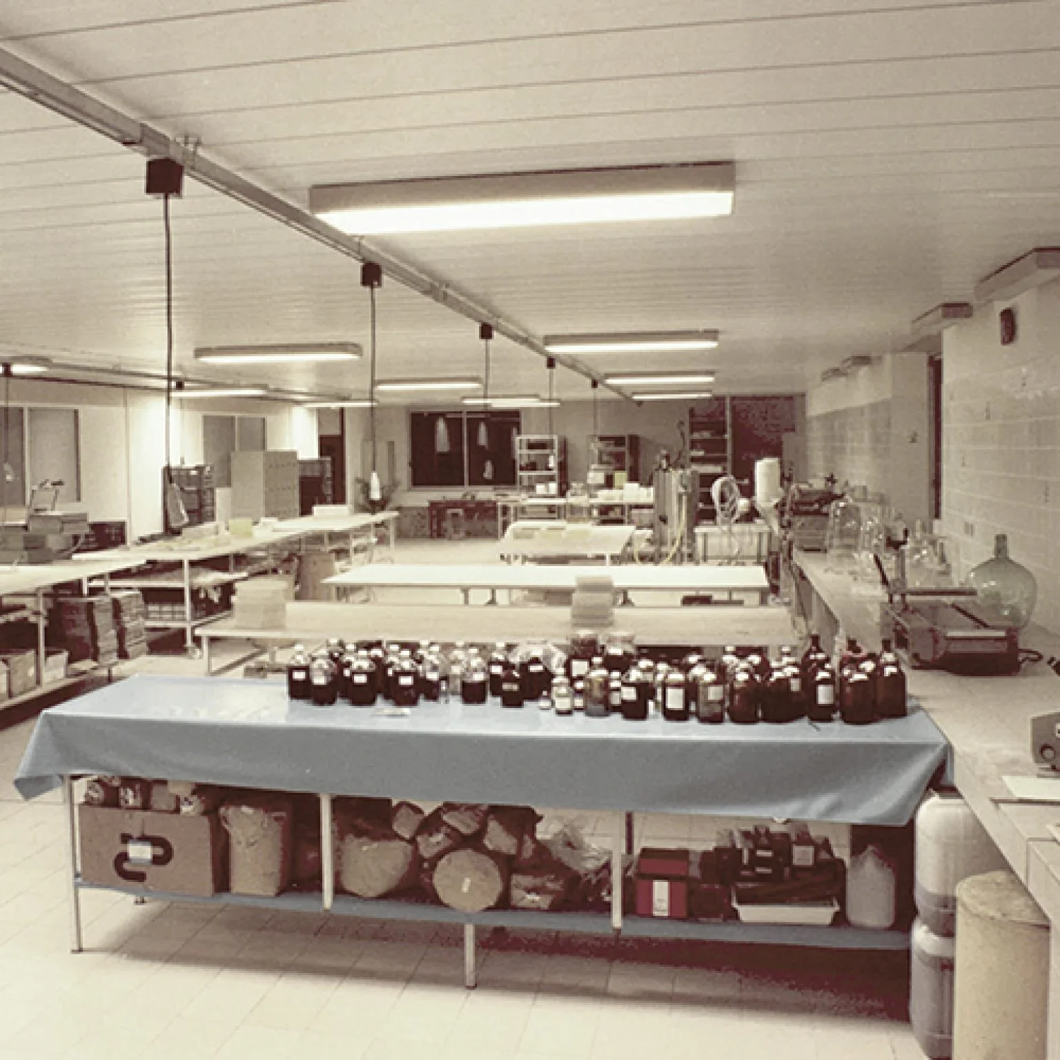 Phyt’s - povestea unui brand francez dedicat frumuseții naturale din 1972